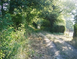 Chemin creux en Valle noire.